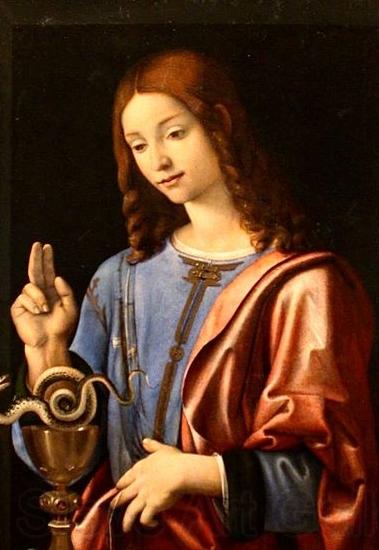 Piero di Cosimo Evangelist Spain oil painting art